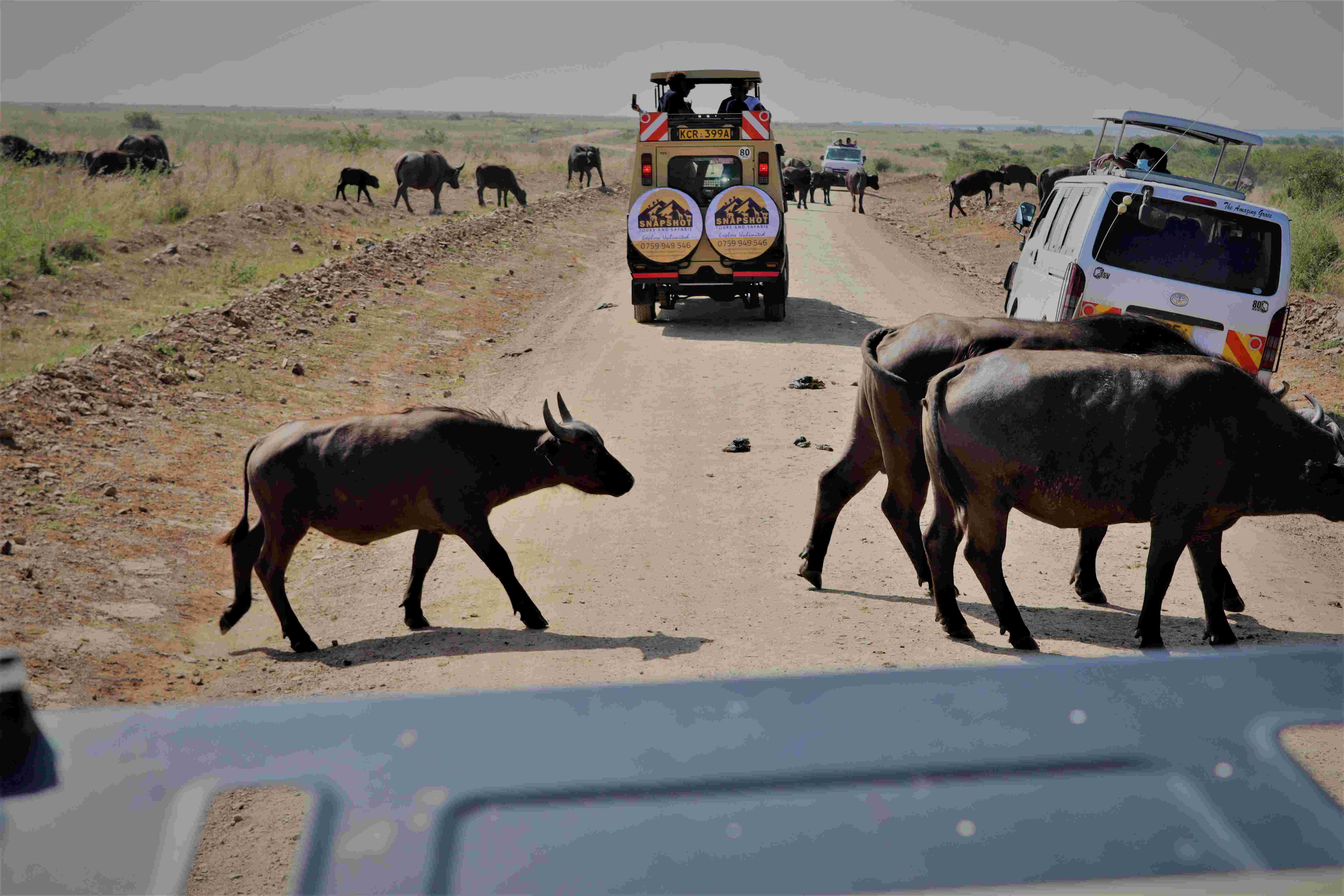 Amboseli National Park