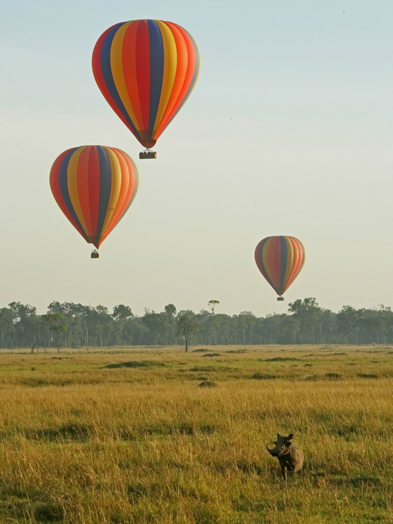Enjoying balloon-safaris