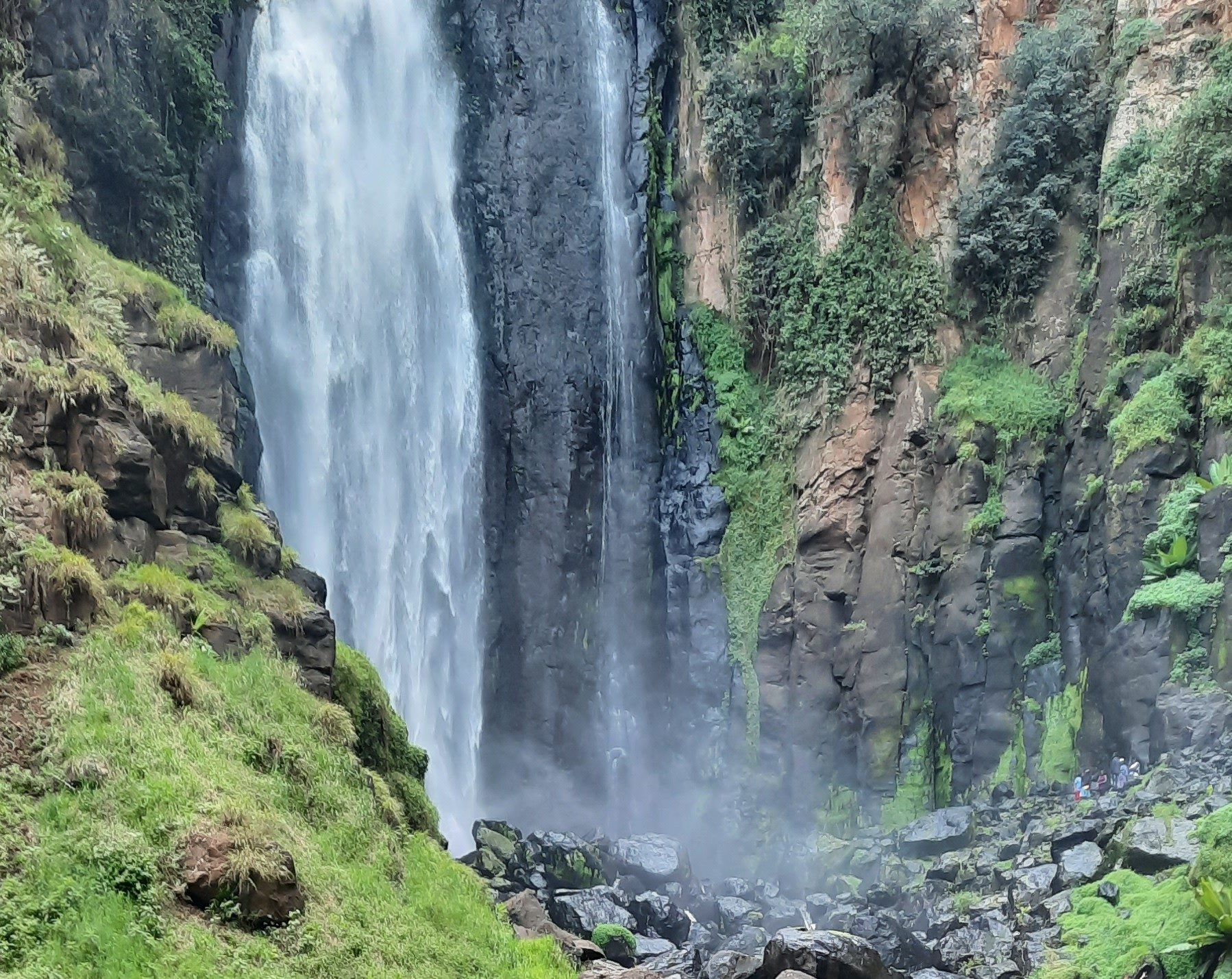 A view of Thomson’s Falls