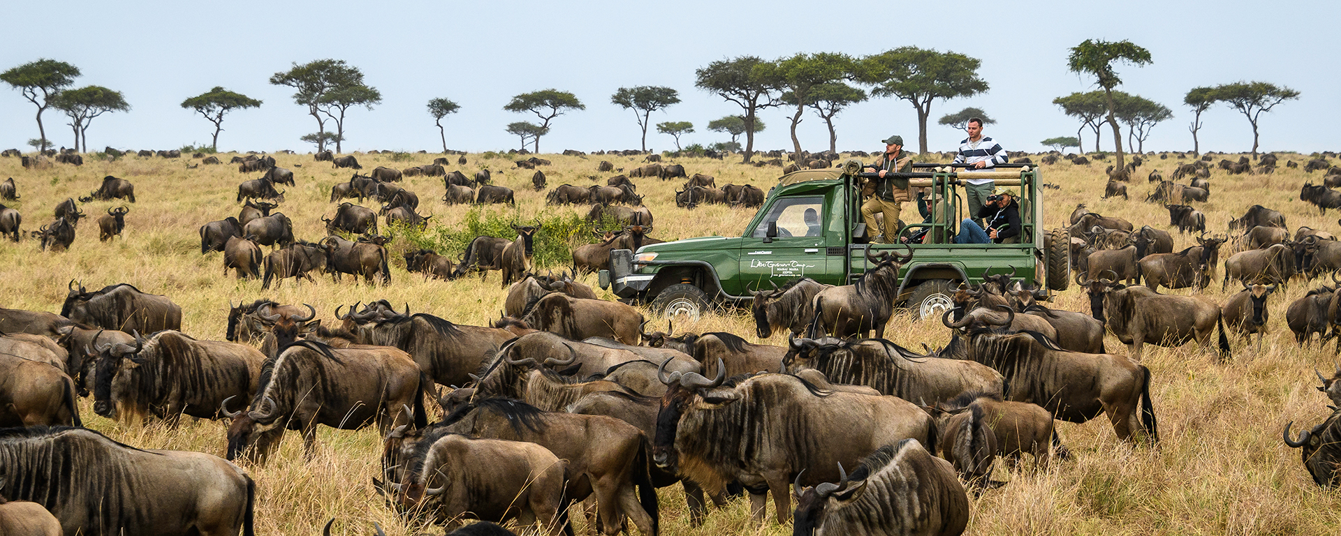 Masai Mara Wildebeest Migration Safari Package - Wildebeest Migration Safari 